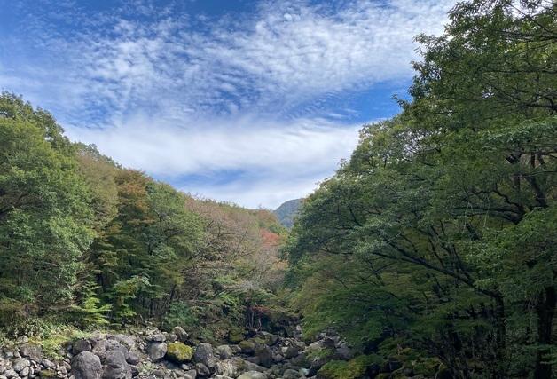 제주 한라산, 가을 없이 겨울 오나…역대 가장 늦은 단풍 소식