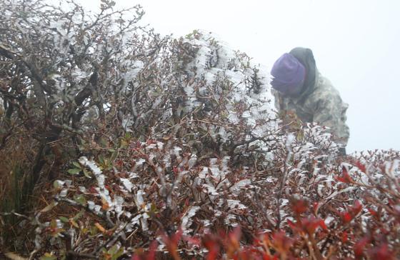 제주도 기온 뚝…영하1도 한라산 백록담엔 올 가을 첫 상고대