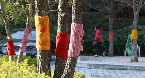 알록달록 뜨개옷 입은 나무