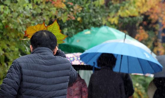 우산 대신 쓰는 나뭇잎
