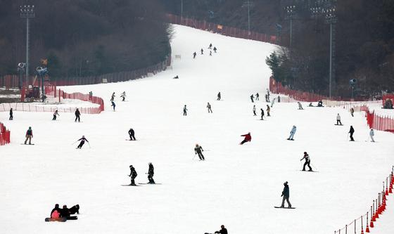 곤지암리조트 스키장 개장