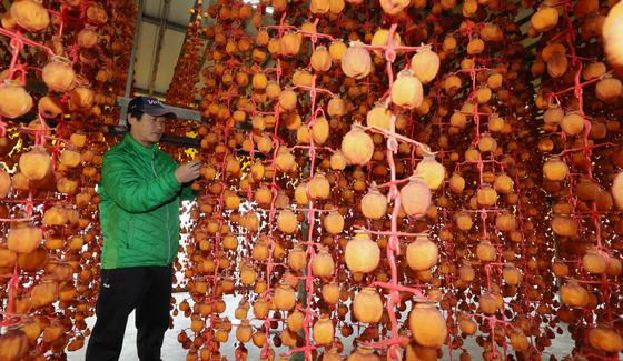 먹음직스러운 곶감