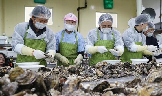 굴 껍데기 까는 정청래 대표