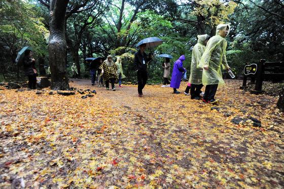 [오늘의 날씨] 제주(9일, 일)…오전까지 가끔 비