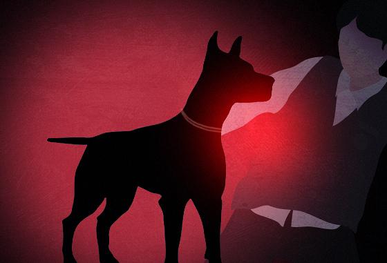 멧돼지 잡던 사냥개들, 주인과 산책하던 반려견 공격