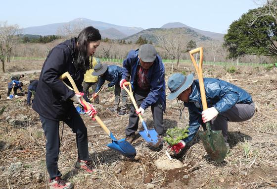 제주, 나무 600만 그루 심기 올해 완료…탄소 흡수 2만6천톤
