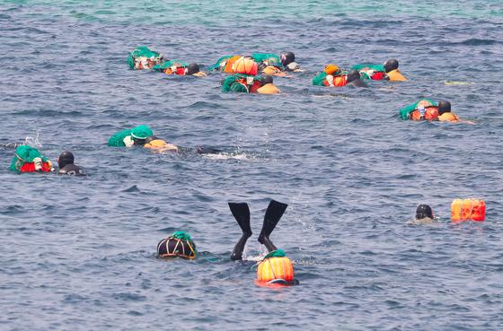 제주 해녀 10년 새 40% 급감…지난해 기준 2623명뿐