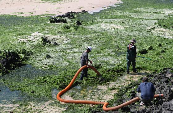 '바다의 골칫거리' 괭생이모자반·구멍갈파래를 바이오 제품으로