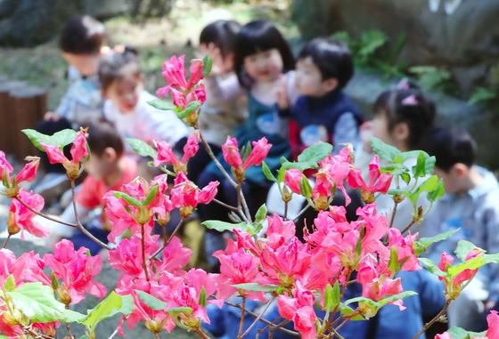 "다 함께 꽃밭에서 신선놀음을"…25~26일 제주 방선문 축제