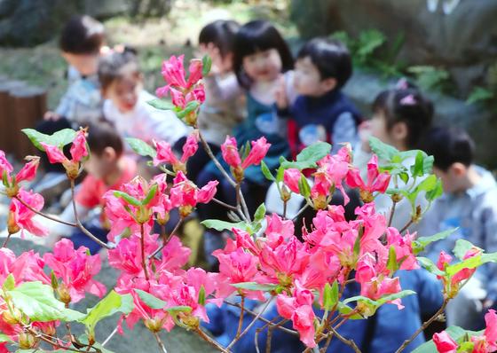 "다 함께 꽃밭에서 신선놀음을"…25~26일 제주 방선문 축제