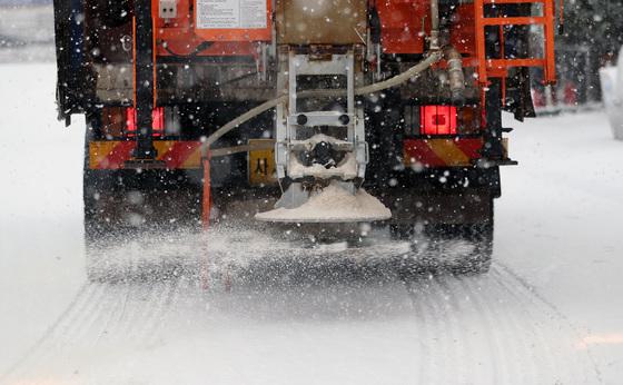 "개 발바닥 아프면 책임질 거냐"…견주들 아파트 산책로 제설제 중단 요구