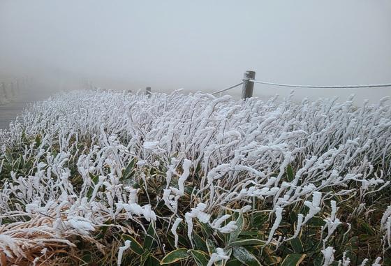 [오늘의 날씨]제주(29일, 수)…아침 '쌀쌀', 낮 기온 19~21도