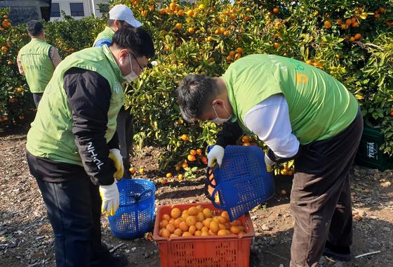 제주 농촌인력중개센터 7곳·공공형 외국인 계절근로 6곳 선정