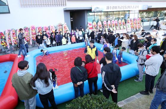 광어 잡고 은갈치 맛보고 제주마 만난다…한글날 연휴 제주는 축제중