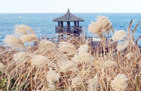 [오늘의 날씨]제주(20일, 목)…아침 최저 8~11도