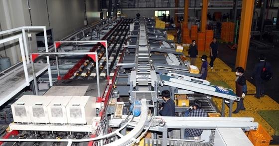 서귀포시, 만감류 출하 전 품질검사제 도입