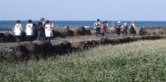 제주 올레길에 한-아세안 10개국 우정의 벤치 조성