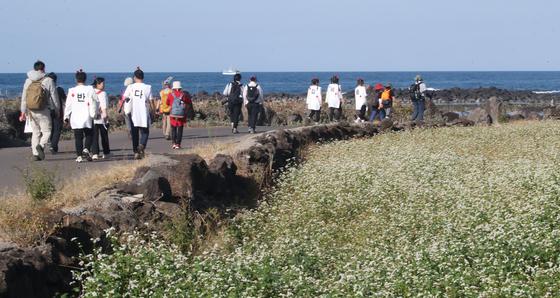 제주트레일워킹 아카데미 1기생 모집…21일 개강