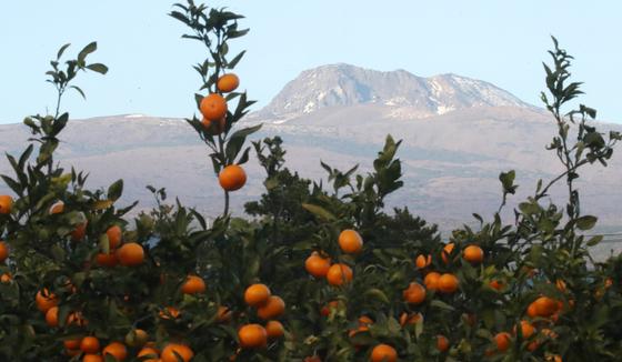 [오늘의 날씨] 제주(16일, 화)…낮 최고 16~17도