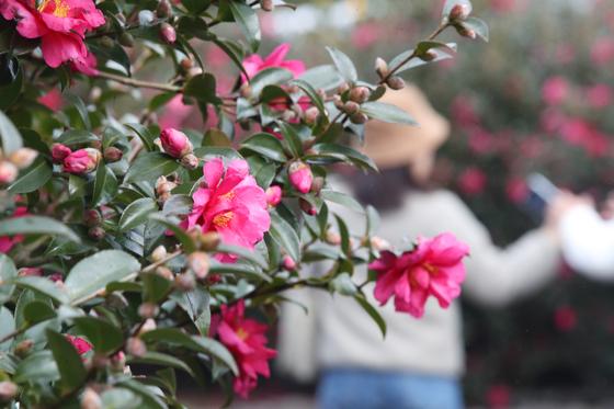 [오늘의 날씨]제주(17일, 수)…오전 사이 가끔 비, 차차 맑아져