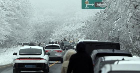 한라산 설경 불법 주차하고 본다?…3674건에 과태료 1억4600만원  