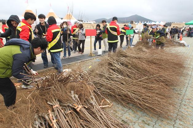 '돌·성년·환갑' 제주도민, 산딸나무·단풍나무·목련 묘목 받는다