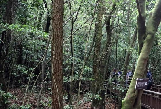 제주, 생태계서비스직불제 참여마을 28일까지 모집