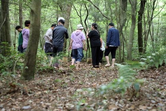 "당신만 아는 '숨은 숲' 제주의 '핫플'로 추천하세요"