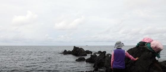 제주 활소라 일본 수출길 끊겨…채취 중단 생업 끊긴 해녀들