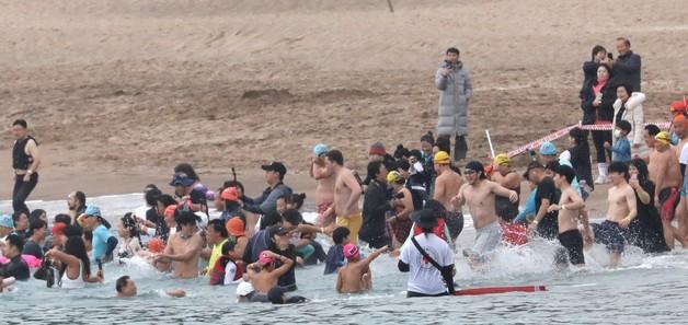 새해 첫날 겨울 바다에 '풍덩'…서귀포 국제팽귄수영대회 열린다