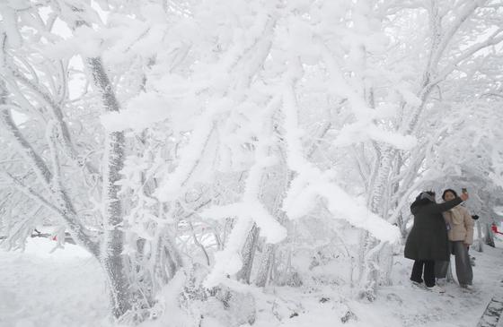 제주도 산지 대설 예비특보…14일까지 최대 15㎝ 이상 쌓일 듯