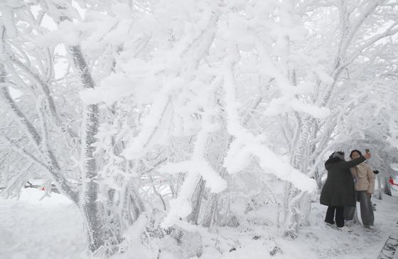 제주도 산지 대설 예비특보…14일까지 최대 15㎝ 이상 쌓일 듯