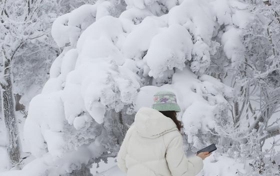 제주도 산지 대설주의보…한라산 탐방로 전면 통제