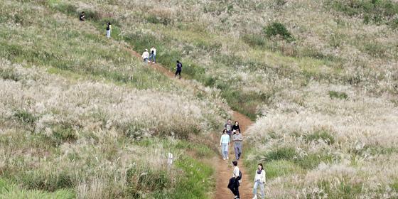[오늘의 날씨]제주(10일, 목)…'초속 20m' 넘는 강풍, 바다엔 풍랑특보