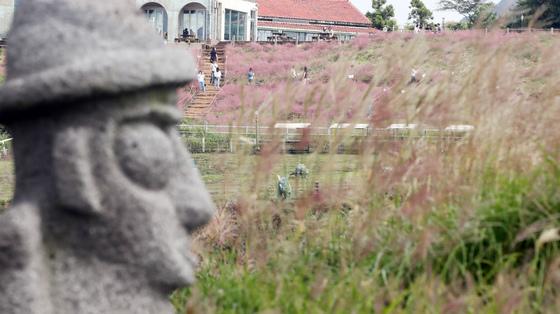 [오늘의 날씨]제주(10일, 월)…기온 '뚝' 아침 최저 13~14도