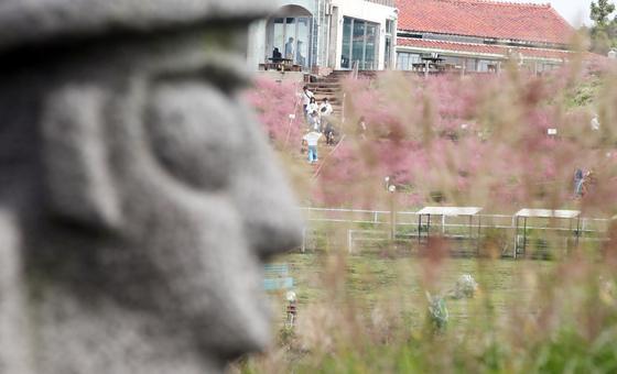 "관광 흔들리면 실물경기 악영향"…제주 내국인 3개월 연속 감소