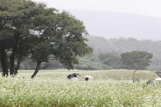 [오늘의 날씨]제주(16일, 토)…낮 최고 24도