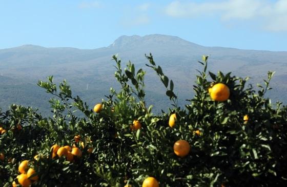 '겨울 맞나' 제주 서귀포 낮 최고 22.5도…역대 가장 따뜻한 12월