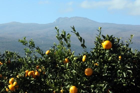 '겨울 맞나' 제주 서귀포 낮 최고 22.5도…역대 가장 따뜻한 12월