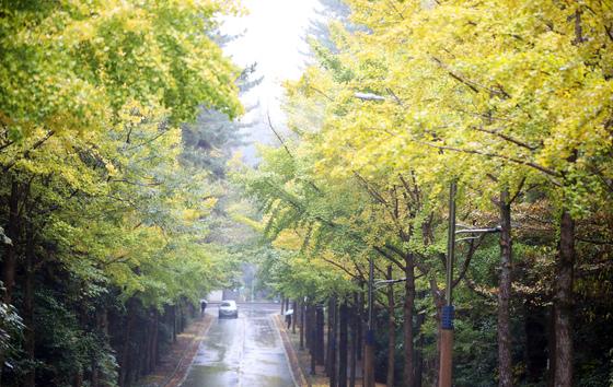 [오늘의 날씨] 제주(22일, 토)…낮 최고기온 15~18도