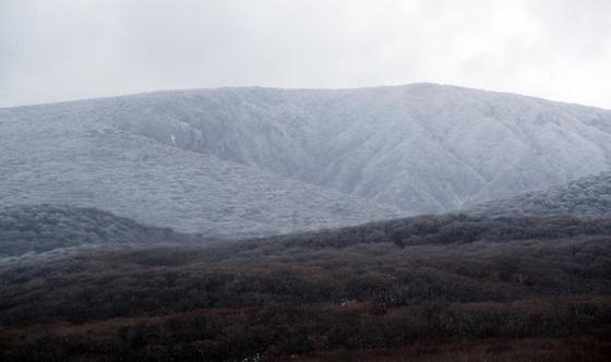 사흘간 제주 한라산에 최대 45.8㎝ 눈…대설특보 해제