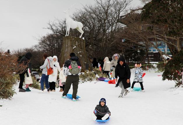 [오늘의 날씨]제주(1일, 목)…새해 첫날 산지 10~20㎝ 눈