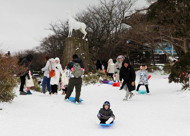 [오늘의 날씨]제주(1일, 목)…새해 첫날 산지 10~20㎝ 눈