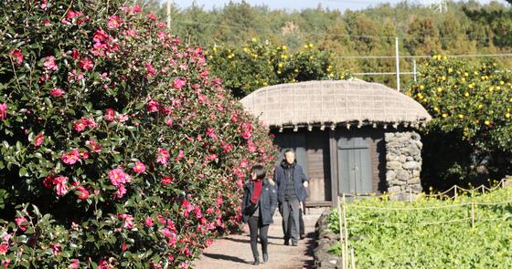 [오늘의 날씨]제주(31일, 토)…구름많고 낮 최고 6~11도