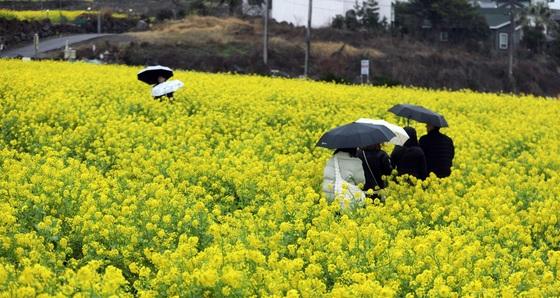 [오늘의 날씨] 제주(15일, 목)…오전까지 강풍 동반 비