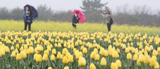 [오늘의 날씨] 제주(18일, 토)…가끔 비