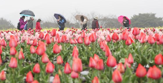 [오늘의 날씨] 제주(22일, 일)…5㎜ 미만 약한 비 