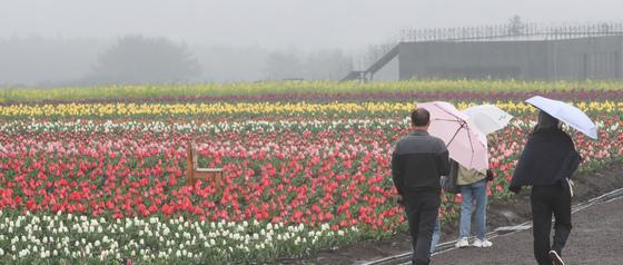[오늘의 날씨] 제주(14일, 화)…흐리고 가끔 비