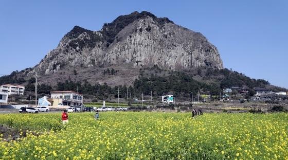 '출입금지' 제주 산방산 정상까지 오른 등반객…벌금 500만원