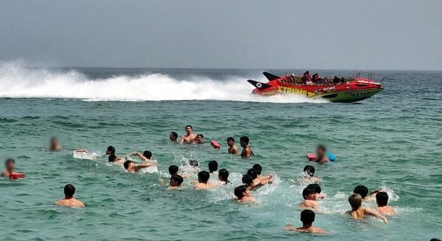 "반려견과 해변 누비고 야간수영도"…손님맞이 마친 전국 해수욕장